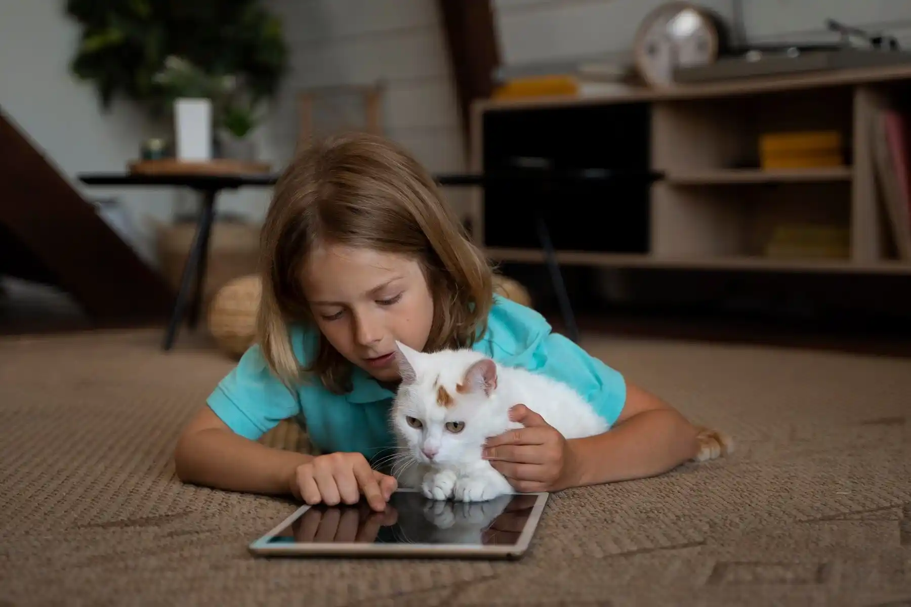 AI-Powered Cat Training