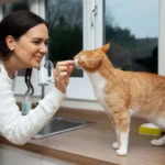 Cat Feeding Tips for 2025