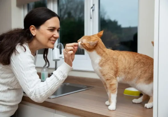 Cat Feeding Tips for 2025