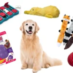 Puzzle Toys for Cats and Dogs