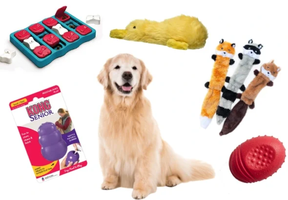 Puzzle Toys for Cats and Dogs