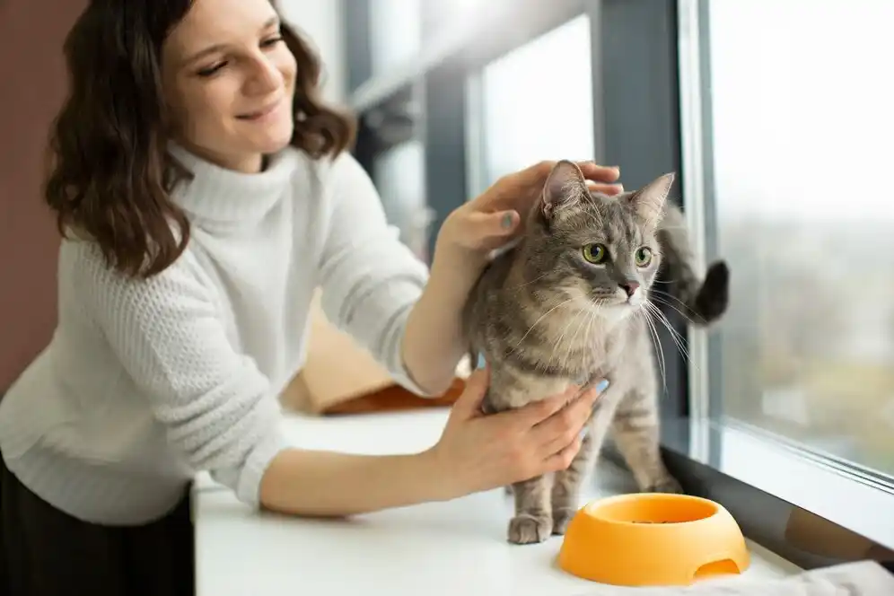 Kitten Care 101